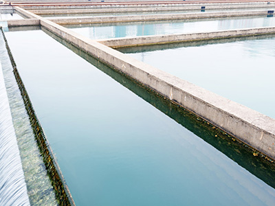 磁絮凝沉淀法與傳統方法相比有何優勢