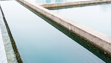 如何評判黑臭水體治理技術(shù)好壞？